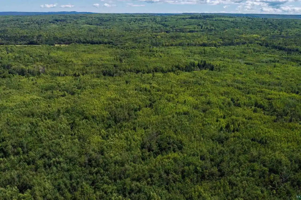 Photo 3 of Land for sale at 40 Acres Near State Hwy 13, Herbster, WI 54844 | MLS# 6127681 | Listing updated on 2026-08-30