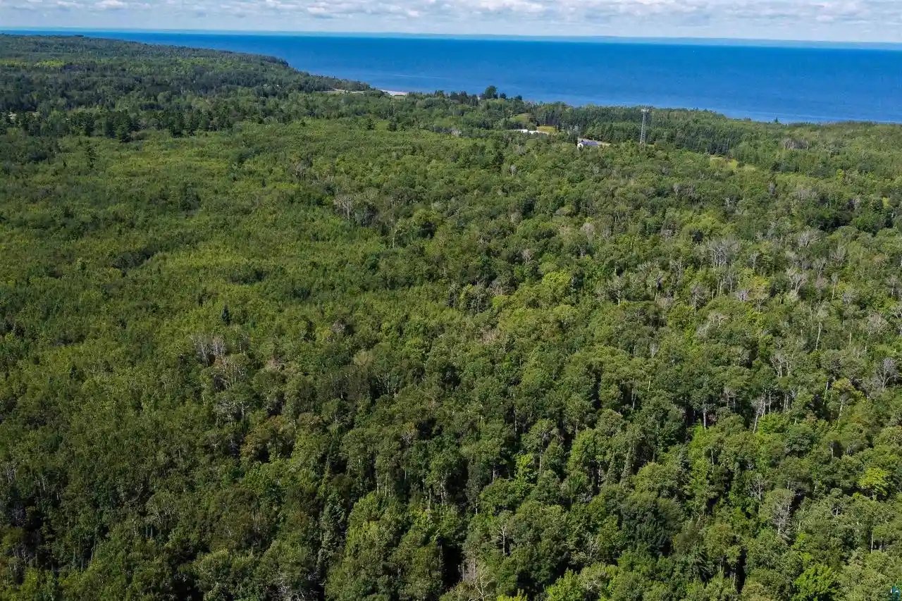 Photo 4 of Land for sale at 40 Acres Near State Hwy 13, Herbster, WI 54844 | MLS# 6127681 | Listing updated on 2026-08-30