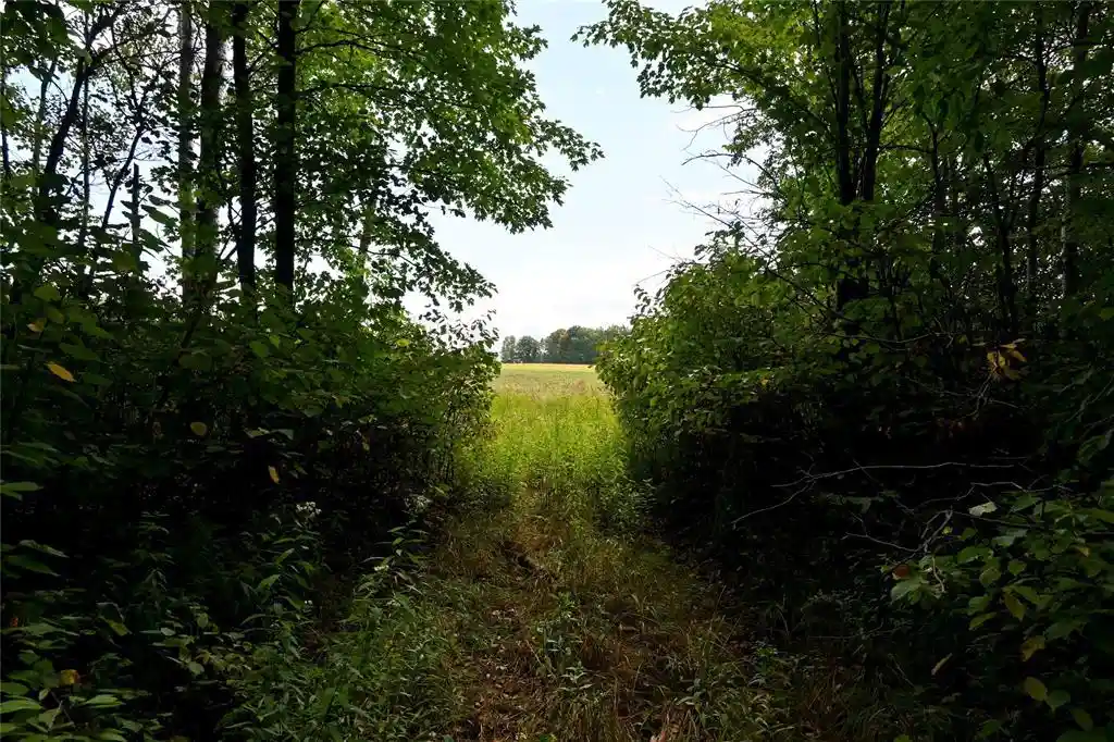 Photo 2 of Land for sale at 0000 Schalk Rd, Ogema, WI 54459 | MLS# 1604683 | Listing updated on 2026-09-02
