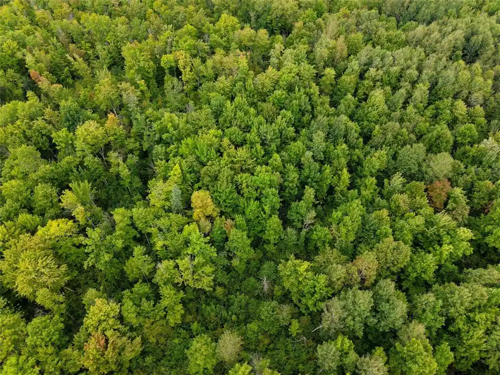 Photo 26 of Land for sale at 0000 Schalk Rd, Ogema, WI 54459 | MLS# 1604683 | Listing updated on 2026-09-02