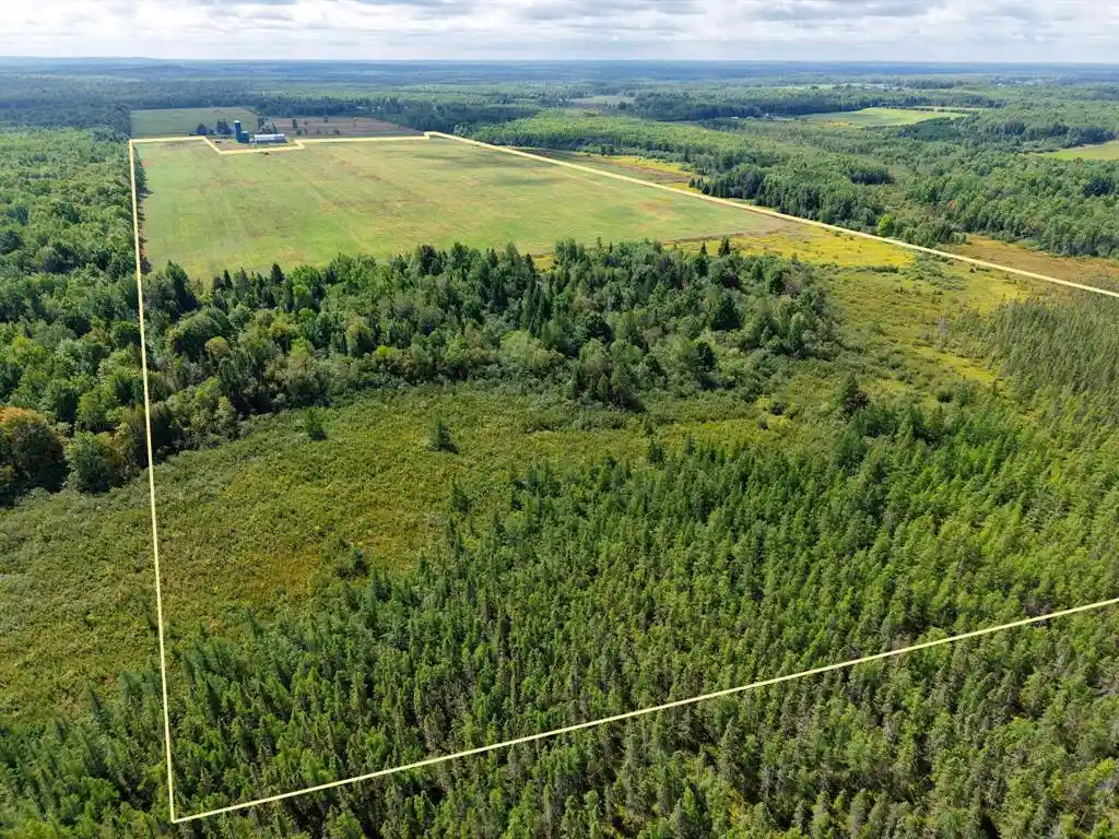 Photo 1 of Land for sale at 0000 County Rd M, Ogema, WI 54459 | MLS# 1604686 | Listing updated on 2026-09-02