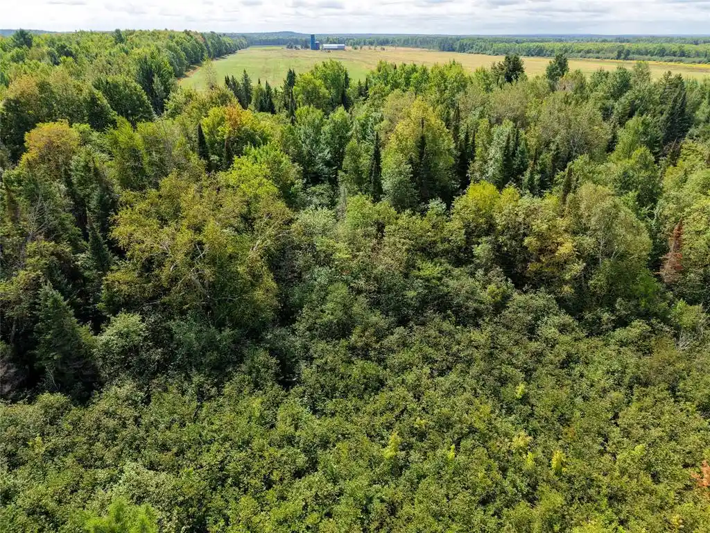 Photo 2 of Land for sale at 0000 County Rd M, Ogema, WI 54459 | MLS# 1604686 | Listing updated on 2026-09-02