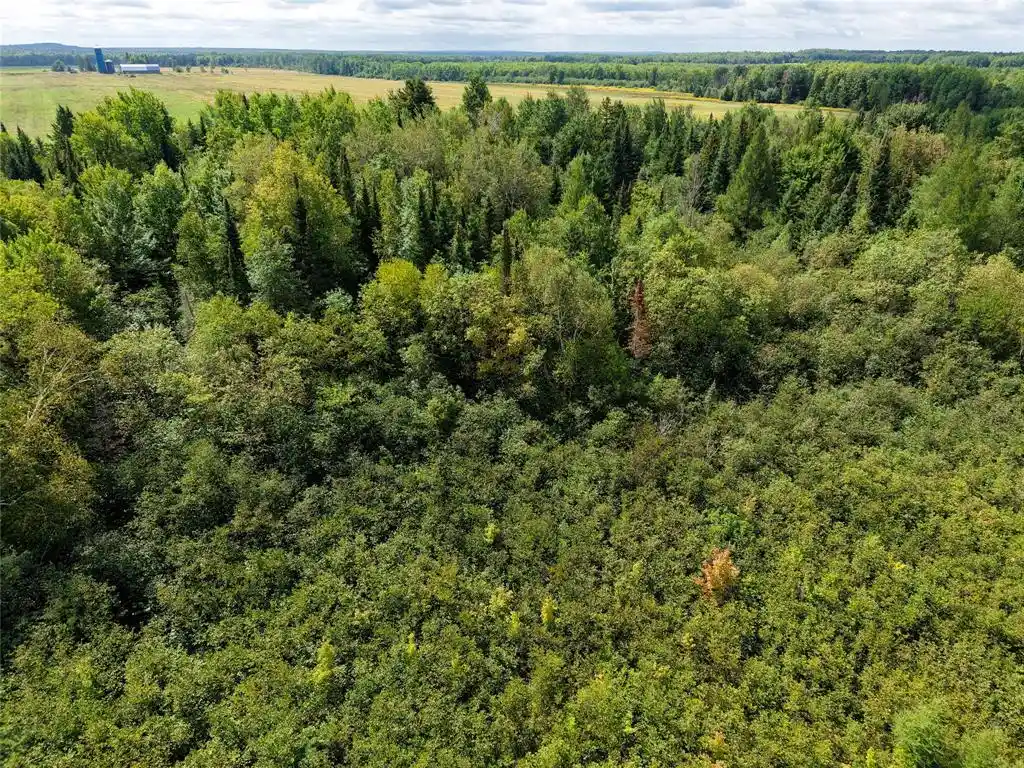 Photo 2 of Land for sale at 0000 County Rd M, Ogema, WI 54459 | MLS# 1604686 | Listing updated on 2026-09-02