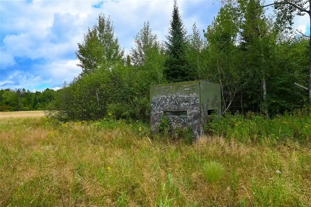 Photo 2 of Land for sale at Xxxx County Rd M, Ogema, WI 54459 | MLS# 1604688 | Listing updated on 2026-09-02