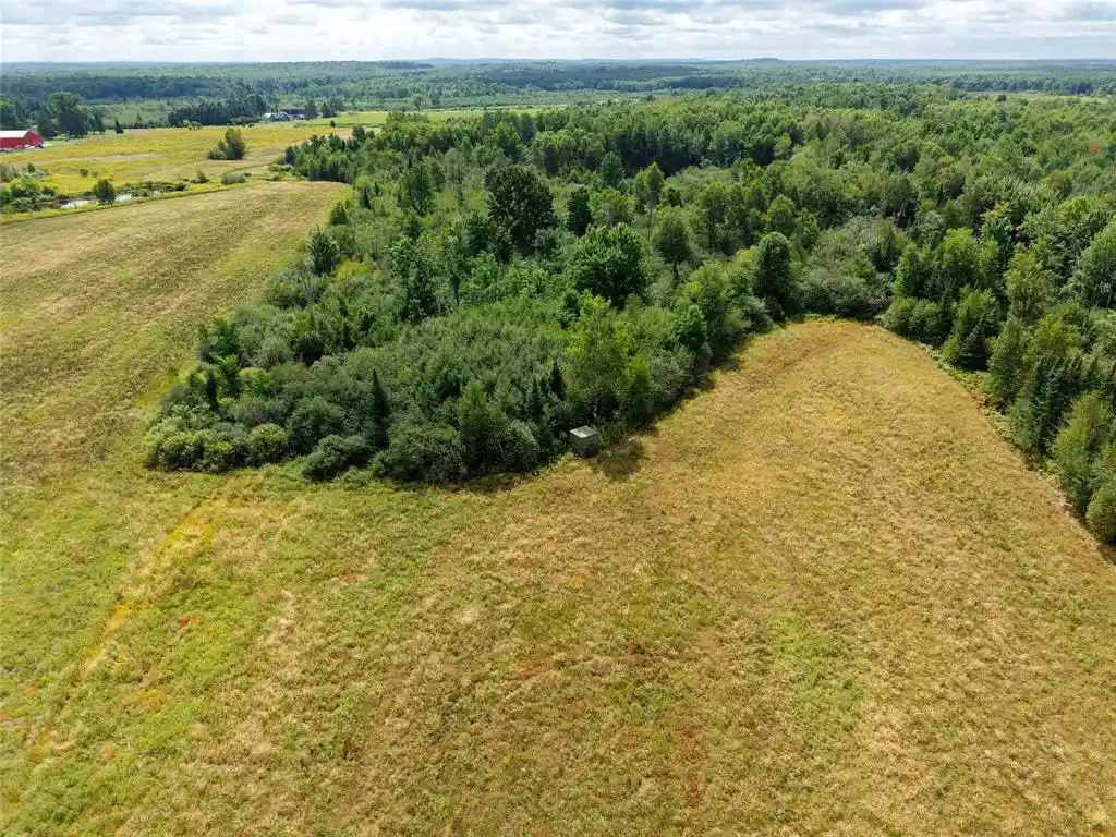 Photo 36 of Land for sale at Xxxx County Rd M, Ogema, WI 54459 | MLS# 1604688 | Listing updated on 2026-09-02