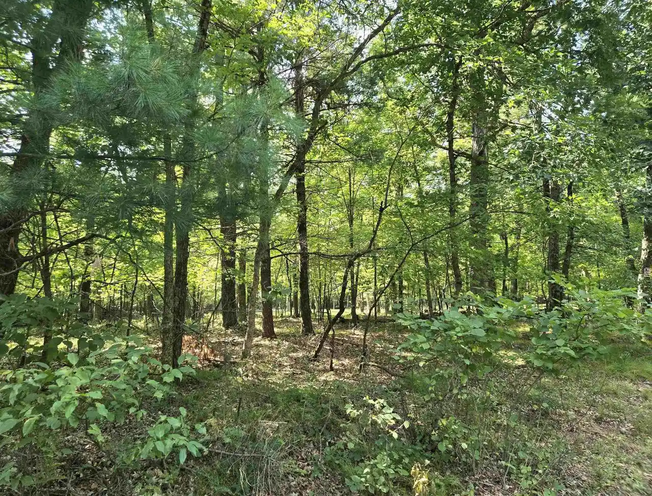 Photo 1 of Land for sale at Lot 6 Aspen Dr, Hancock, WI 54943 | MLS# 2031662 | Listing updated on 2026-09-09