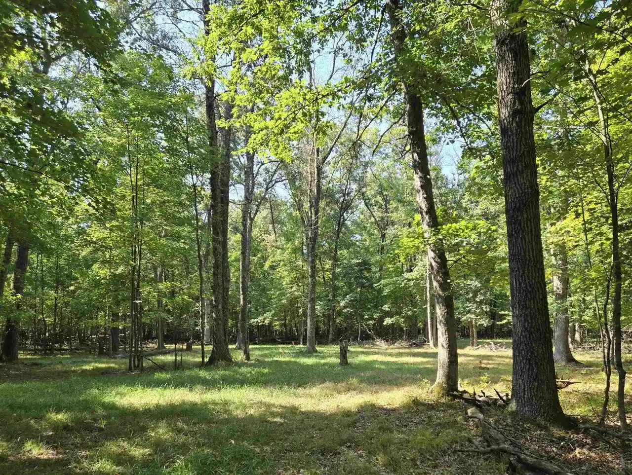 Photo 3 of Land for sale at Lot 6 Aspen Dr, Hancock, WI 54943 | MLS# 2031662 | Listing updated on 2026-09-09