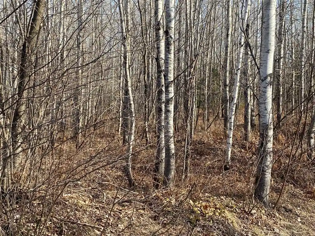 Photo 1 of Land for sale at Near Bennett Rd, Lake Nebagamon, WI 54849 | MLS# 1604472 | Listing updated on 2026-08-31