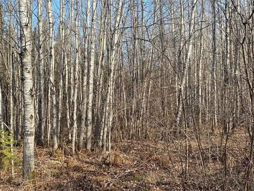Photo 1 of Land for sale at Near Jackson Rd, Lake Nebagamon, WI 54849 | MLS# 1604468 | Listing updated on 2026-08-31