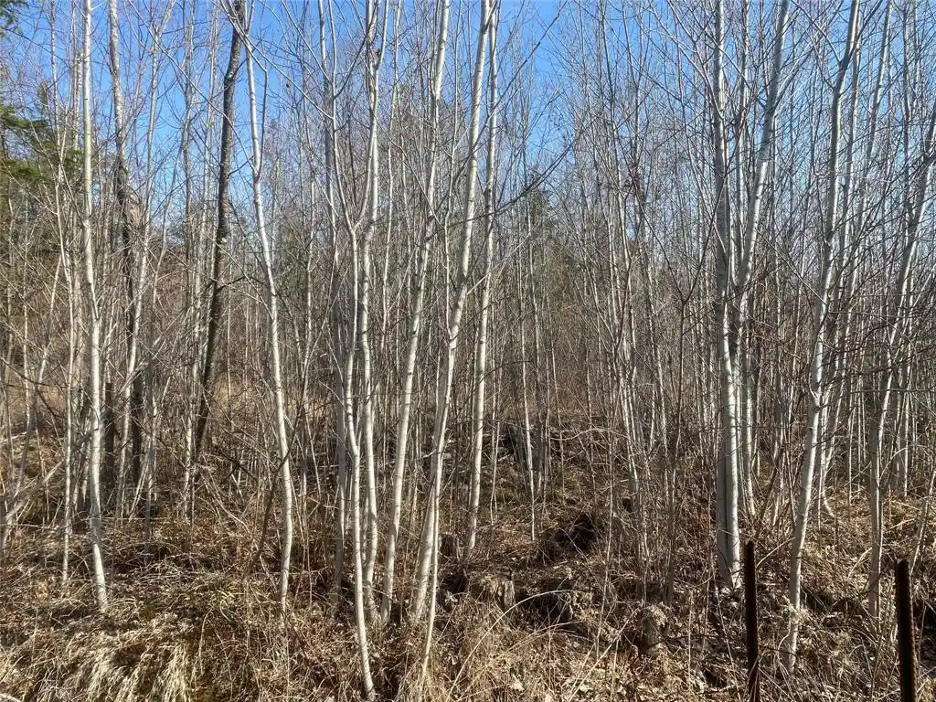 Photo 1 of Land for sale at Near Tom Green Rd, Solon Springs, WI 54873 | MLS# 1604473 | Listing updated on 2026-08-31