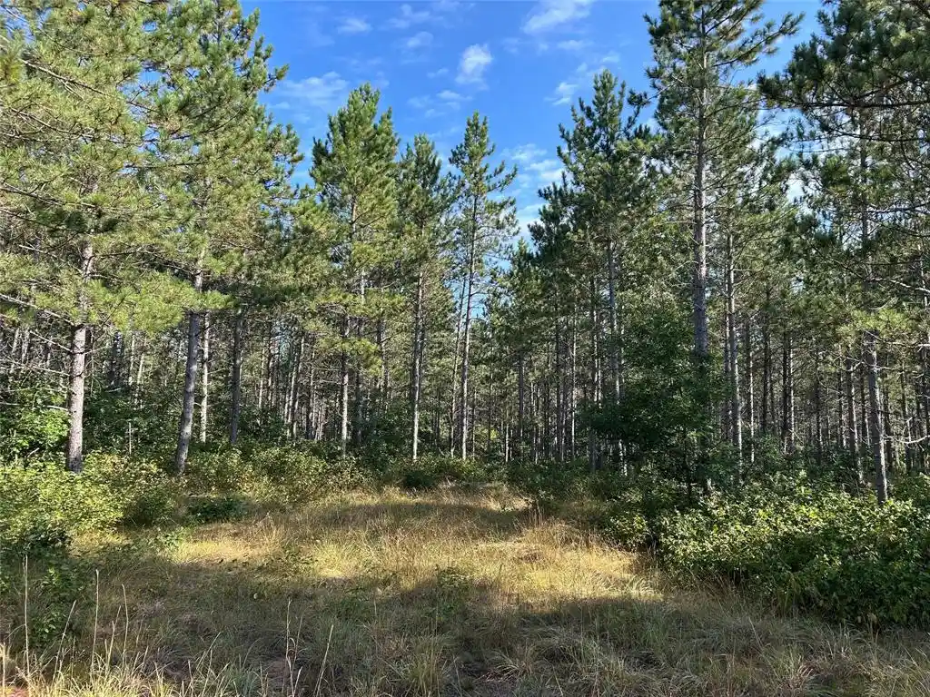 Photo 1 of Land for sale at Near County Rd Y, Gordon, WI 54838 | MLS# 1604475 | Listing updated on 2026-08-31