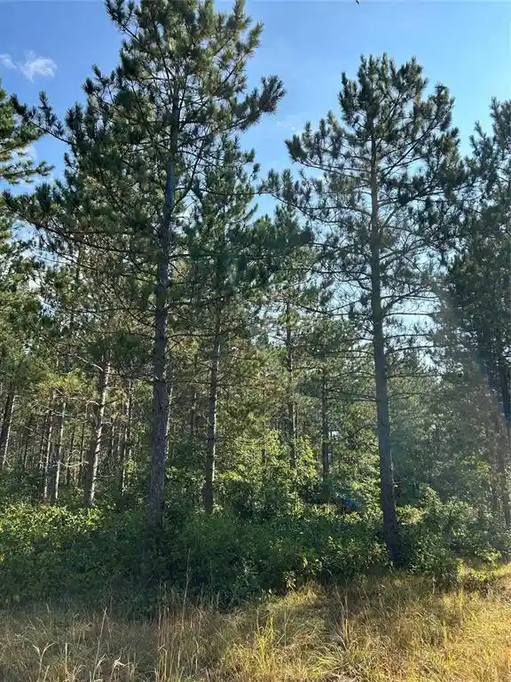 Photo 2 of Land for sale at Near County Rd Y, Gordon, WI 54838 | MLS# 1604475 | Listing updated on 2026-08-31
