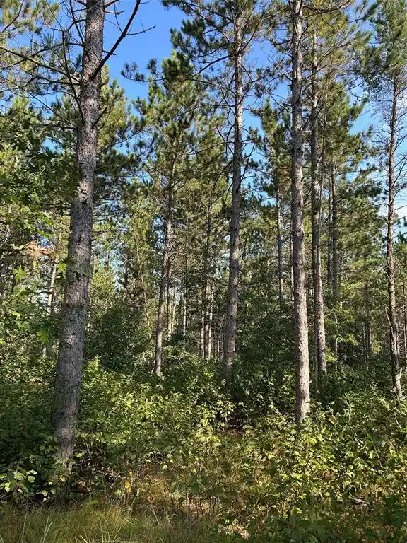 Photo 2 of Land for sale at Near County Rd Y, Gordon, WI 54838 | MLS# 1604475 | Listing updated on 2026-08-31