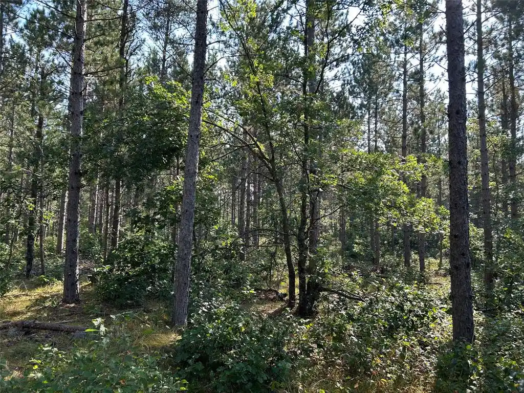 Photo 3 of Land for sale at Near County Rd Y, Gordon, WI 54838 | MLS# 1604475 | Listing updated on 2026-08-31
