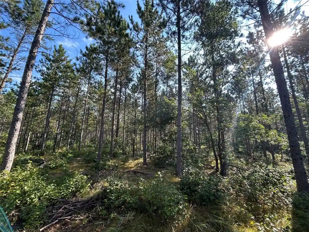Photo 4 of Land for sale at Near County Rd Y, Gordon, WI 54838 | MLS# 1604475 | Listing updated on 2026-08-31