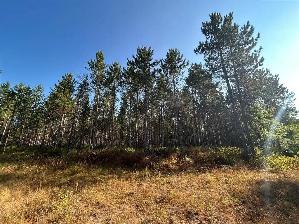 Photo 2 of Sale Pending at Near E Mail Rd, Gordon, WI 54838 | MLS# 1604476 | Listing updated on 2026-09-14