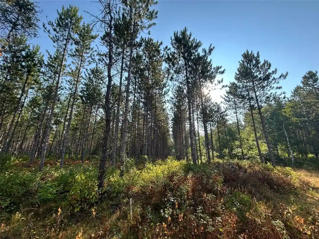 Photo 2 of Sale Pending at Near E Mail Rd, Gordon, WI 54838 | MLS# 1604476 | Listing updated on 2026-09-14