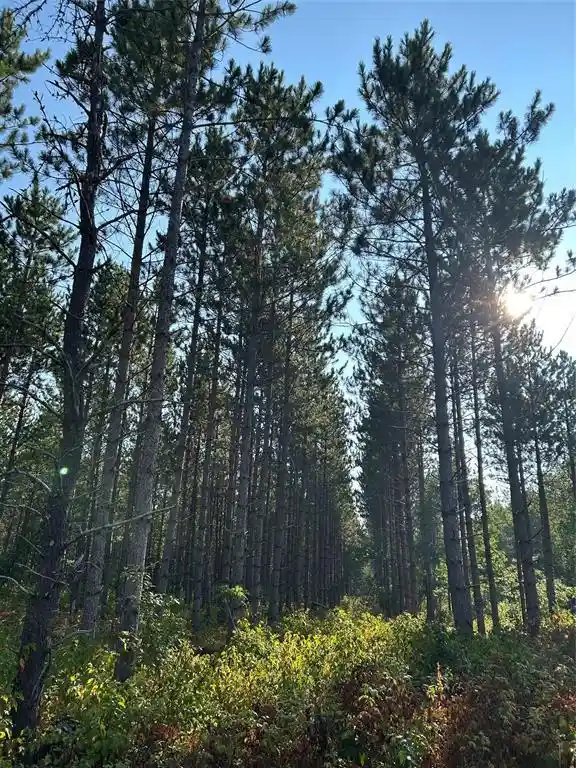 Photo 3 of Sale Pending at Near E Mail Rd, Gordon, WI 54838 | MLS# 1604476 | Listing updated on 2026-09-14