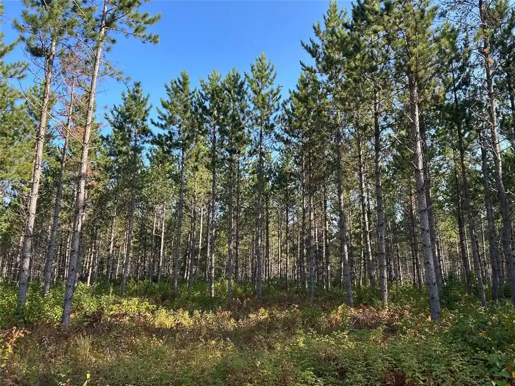 Photo 5 of Sale Pending at Near E Mail Rd, Gordon, WI 54838 | MLS# 1604476 | Listing updated on 2026-09-14