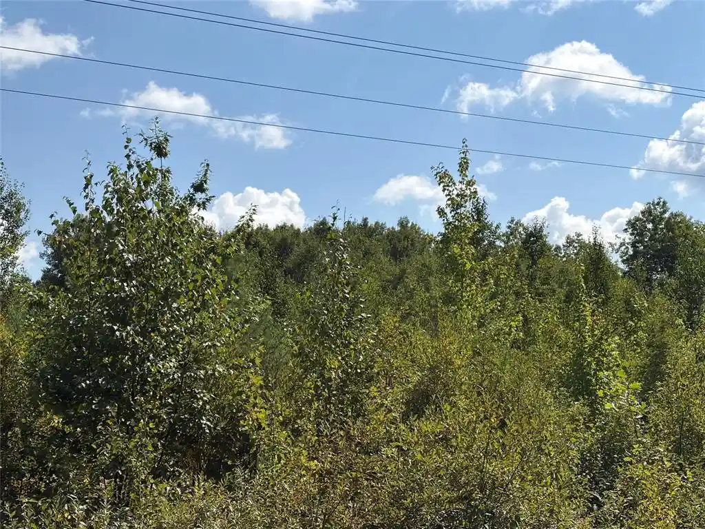 Photo 2 of Land for sale at On Holmes Rd, Ashland, WI 54806 | MLS# 1604486 | Listing updated on 2026-09-02