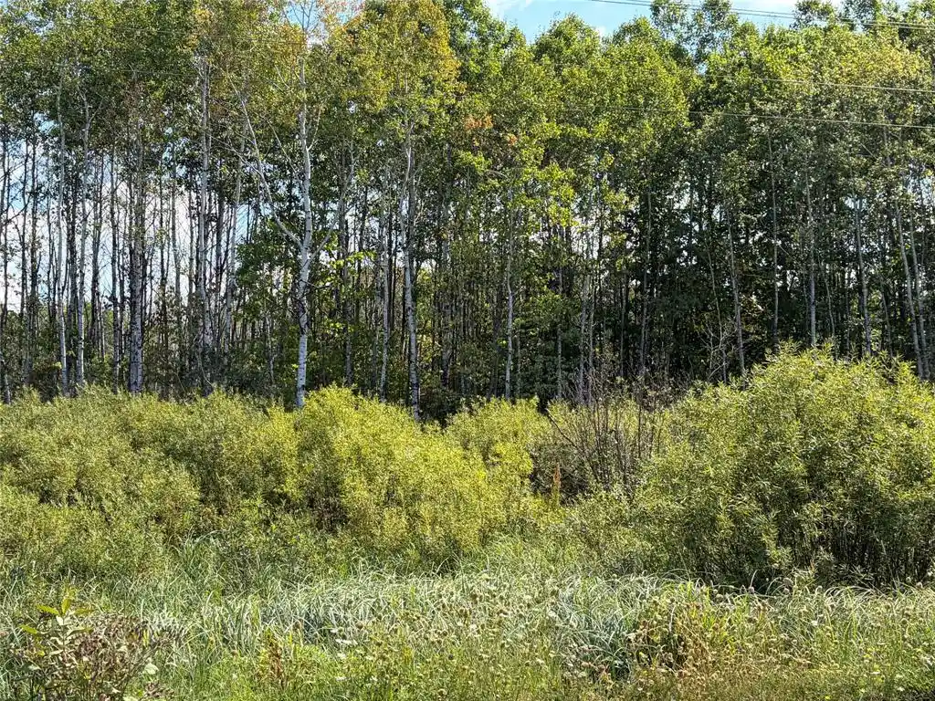 Photo 3 of Land for sale at On Holmes Rd, Ashland, WI 54806 | MLS# 1604486 | Listing updated on 2026-09-02