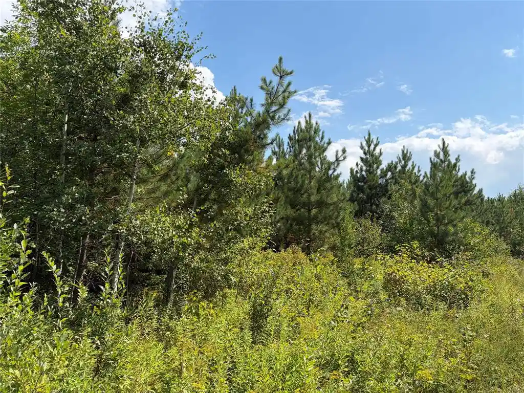 Photo 3 of Sale Pending at On Charles Johnson Rd, Ashland, WI 54806 | MLS# 1604482 | Listing updated on 2026-09-03