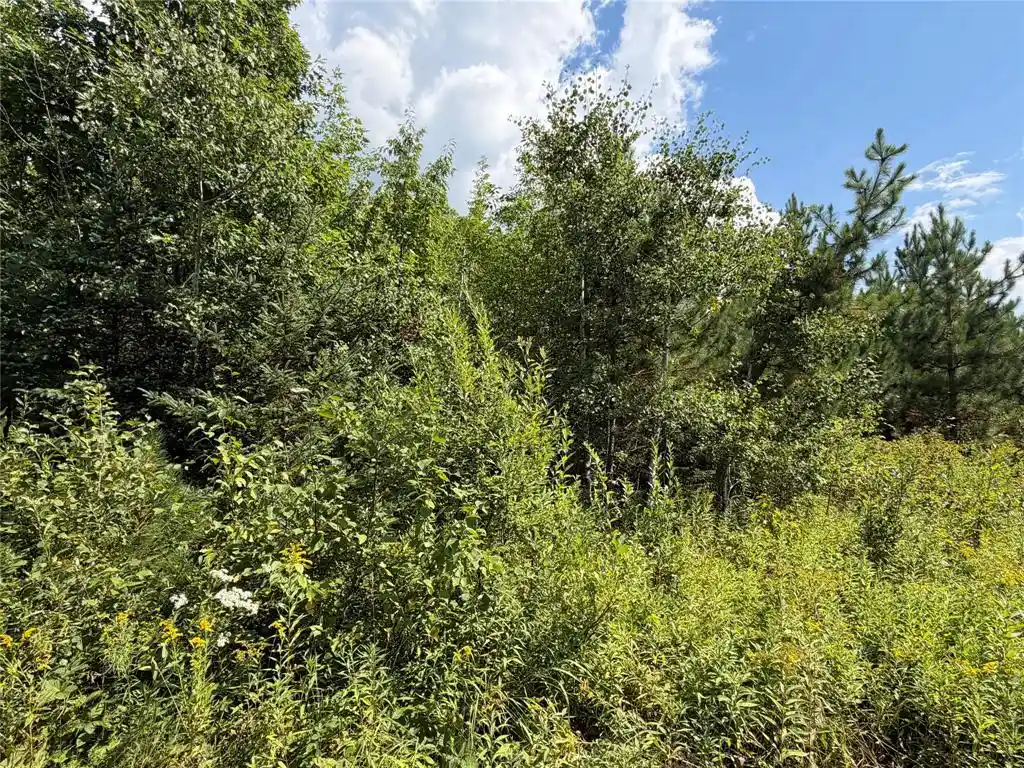 Photo 4 of Sale Pending at On Charles Johnson Rd, Ashland, WI 54806 | MLS# 1604482 | Listing updated on 2026-09-03