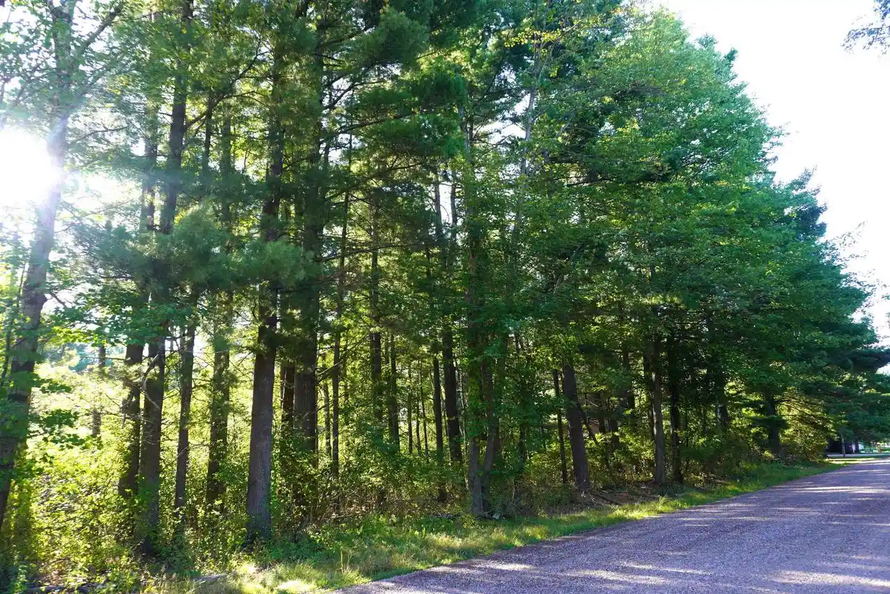 Photo 1 of Land for sale at Lots 12 & 13 Monroe St, Merrill, WI 54452 | MLS# 22604277 | Listing updated on 2026-08-31