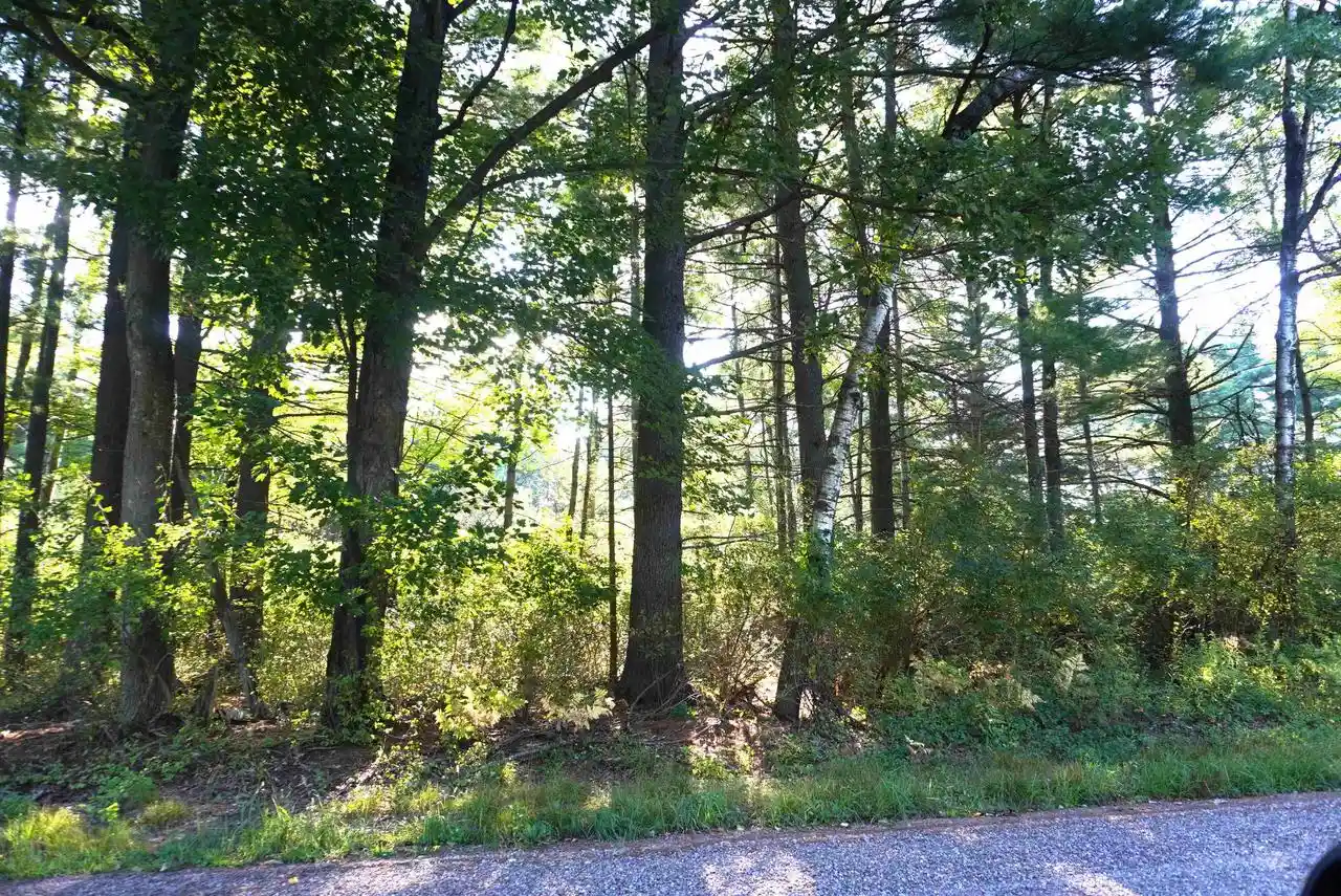 Photo 2 of Land for sale at Lots 12 & 13 Monroe St, Merrill, WI 54452 | MLS# 22604277 | Listing updated on 2026-08-31