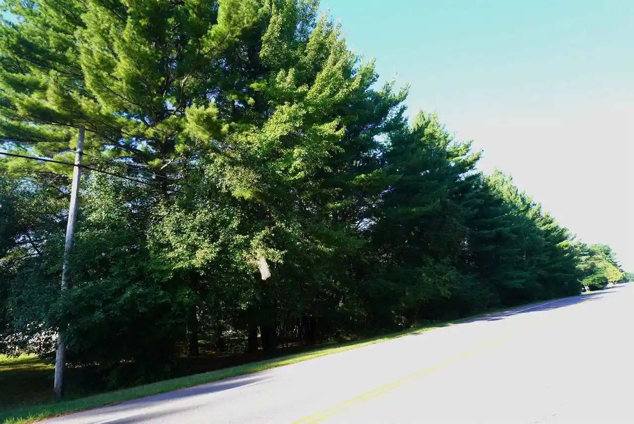 Photo 1 of Land for sale at Lots 2 & 3 Taylor St, Merrill, WI 54452 | MLS# 22604278 | Listing updated on 2026-08-31