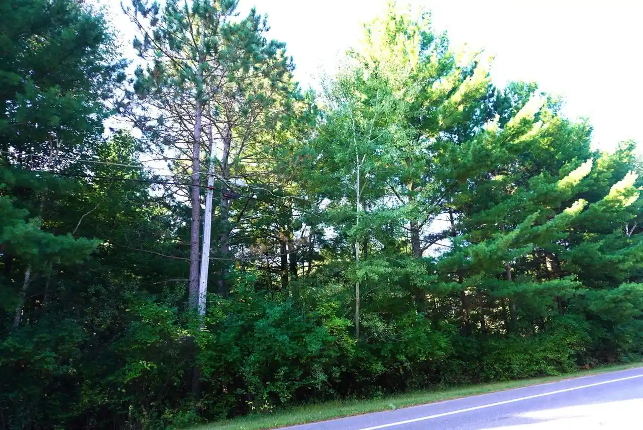 Photo 2 of Land for sale at Lots 2 & 3 Taylor St, Merrill, WI 54452 | MLS# 22604278 | Listing updated on 2026-08-31