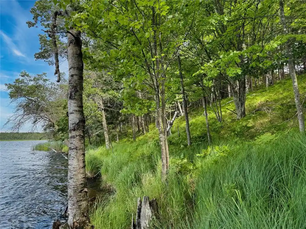Photo 2 of Land for sale at 11149 Merganser Ln, Hayward, WI 54843 | MLS# 1604672 | Listing updated on 2026-09-02