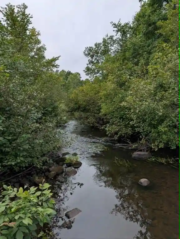 Photo 2 of Land for sale at 10501 County Hwy M, Springbrook, WI 54875 | MLS# 1604696 | Listing updated on 2026-09-14