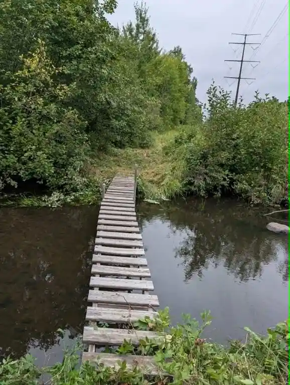 Photo 3 of Land for sale at 10501 County Hwy M, Springbrook, WI 54875 | MLS# 1604696 | Listing updated on 2026-09-14