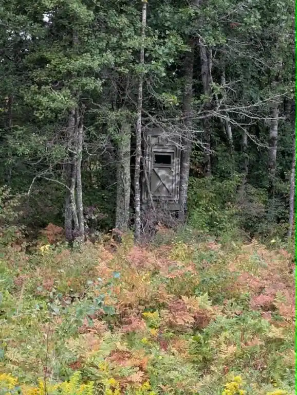 Photo 4 of Land for sale at 10501 County Hwy M, Springbrook, WI 54875 | MLS# 1604696 | Listing updated on 2026-09-14
