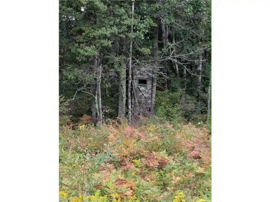 Photo 2 of Land for sale at 10501 N County Hwy M, Springbrook, WI 54875 | MLS# 7136184 | Listing updated on 2026-09-14