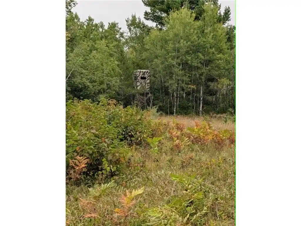 Photo 3 of Land for sale at 10501 N County Hwy M, Springbrook, WI 54875 | MLS# 7136184 | Listing updated on 2026-09-14