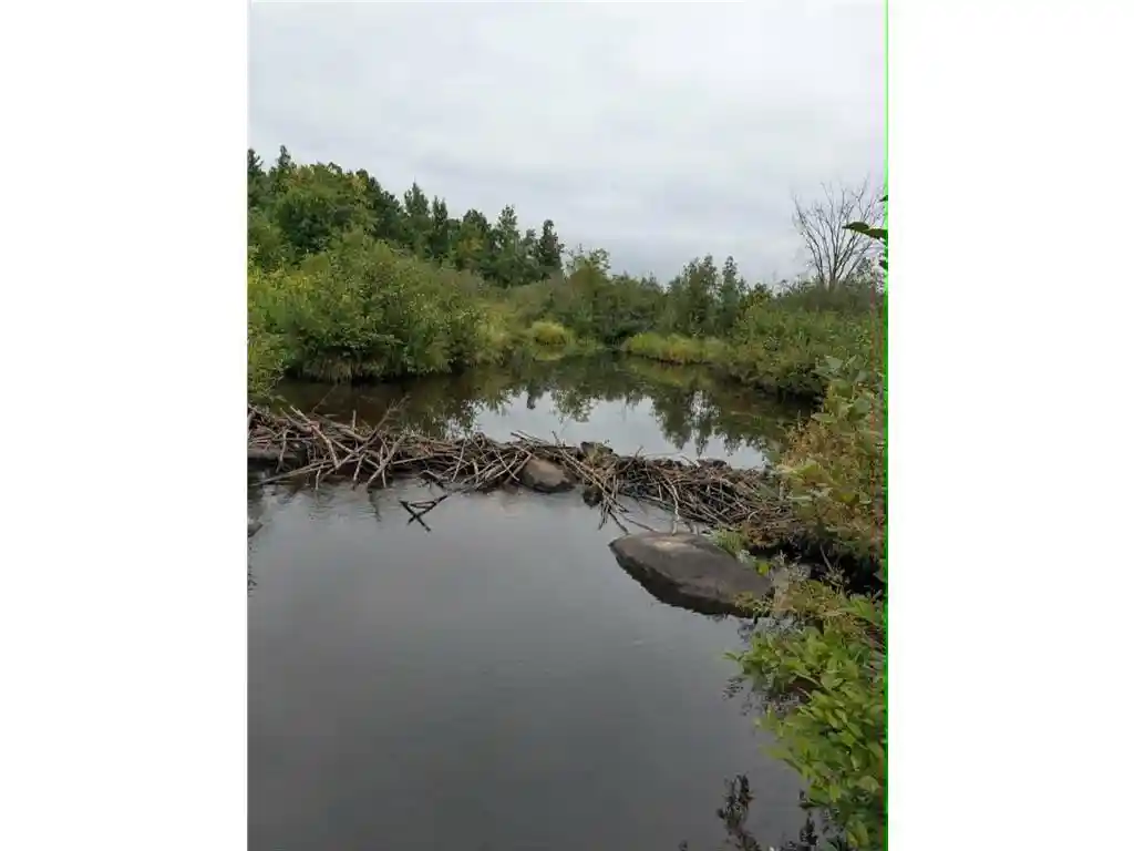 Photo 4 of Land for sale at 10501 N County Hwy M, Springbrook, WI 54875 | MLS# 7136184 | Listing updated on 2026-09-14