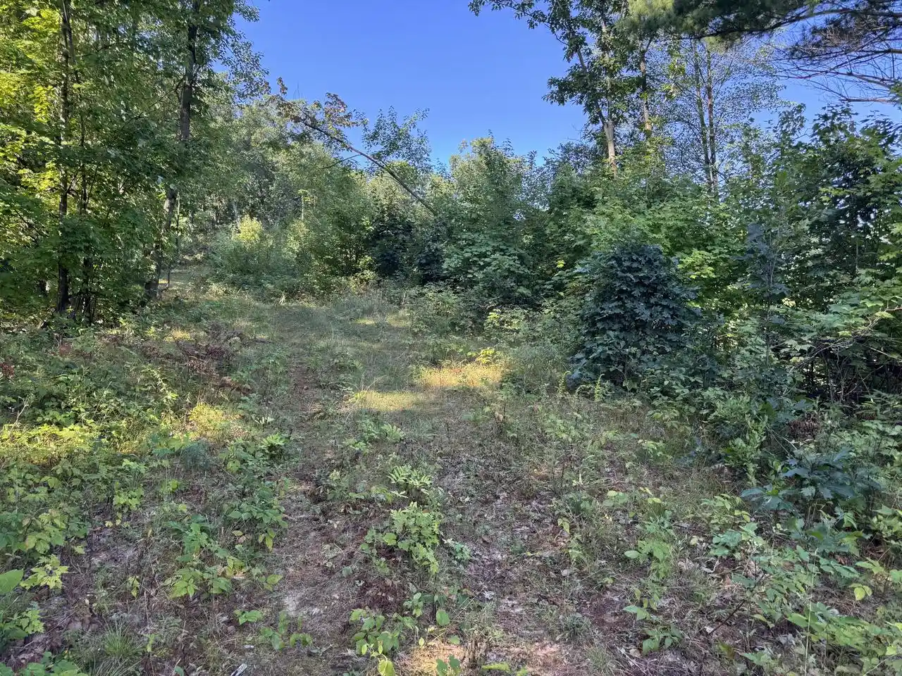 Photo 4 of Sale Pending at 3085 State Hwy 27, Sparta, WI 54656 | MLS# 1978543 | Listing updated on 2026-09-03