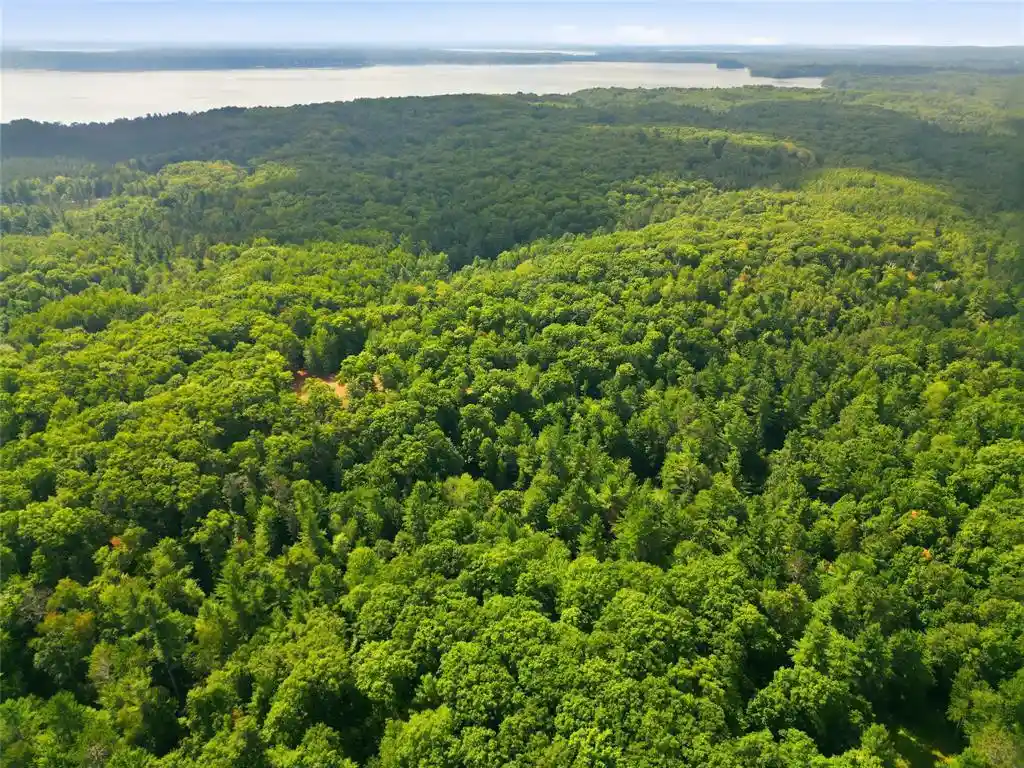 Photo 1 of Land for sale at 14358w County Hwy E, Hayward, WI 54843 | MLS# 1604653 | Listing updated on 2026-09-15