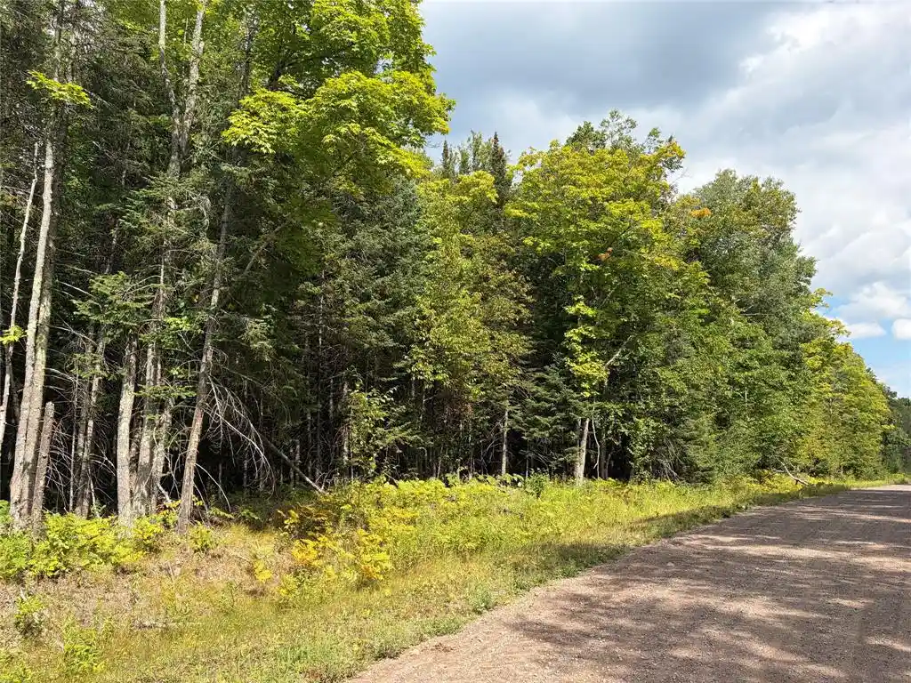 Photo 1 of Land for sale at On Schwilk Rd, Glidden, WI 54527 | MLS# 1604651 | Listing updated on 2026-09-03
