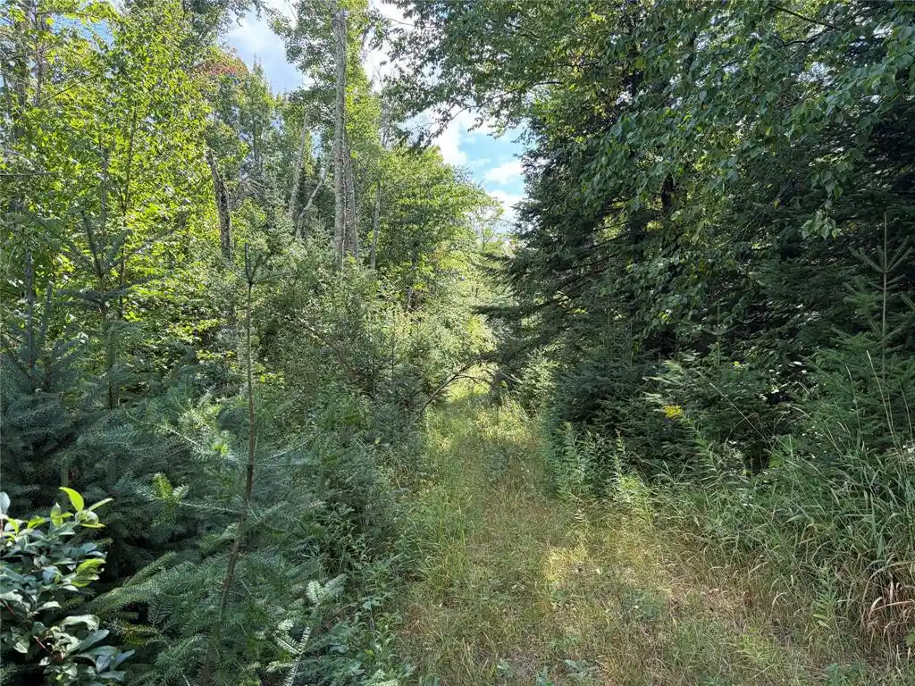 Photo 2 of Land for sale at On Schwilk Rd, Glidden, WI 54527 | MLS# 1604651 | Listing updated on 2026-09-03