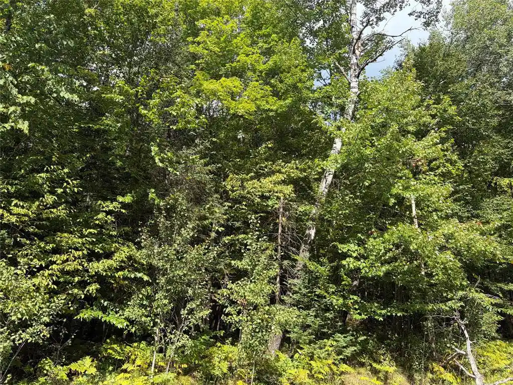 Photo 2 of Land for sale at On Schwilk Rd, Glidden, WI 54527 | MLS# 1604651 | Listing updated on 2026-09-03