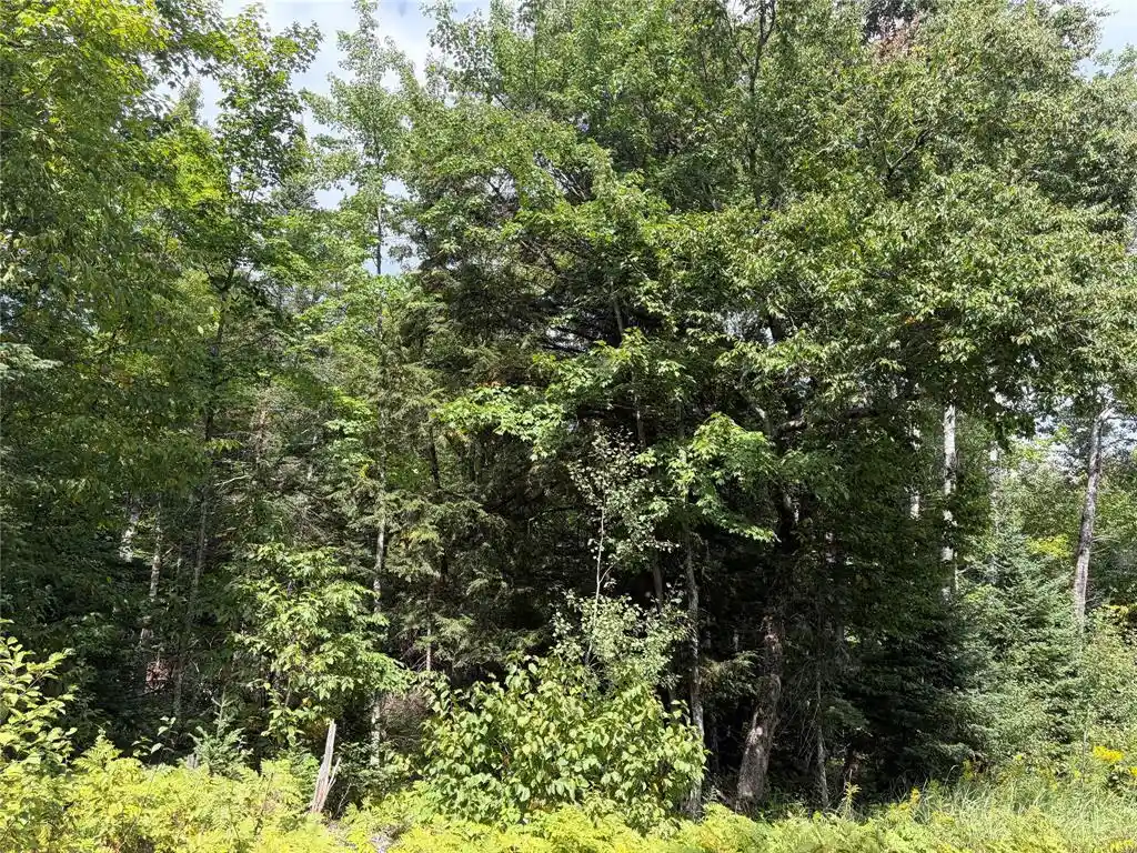Photo 3 of Land for sale at On Schwilk Rd, Glidden, WI 54527 | MLS# 1604651 | Listing updated on 2026-09-03