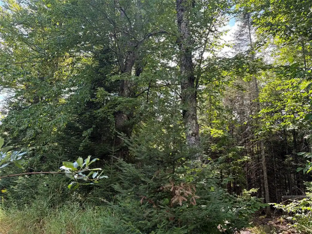 Photo 10 of Land for sale at On Schwilk Rd, Glidden, WI 54527 | MLS# 1604651 | Listing updated on 2026-09-03