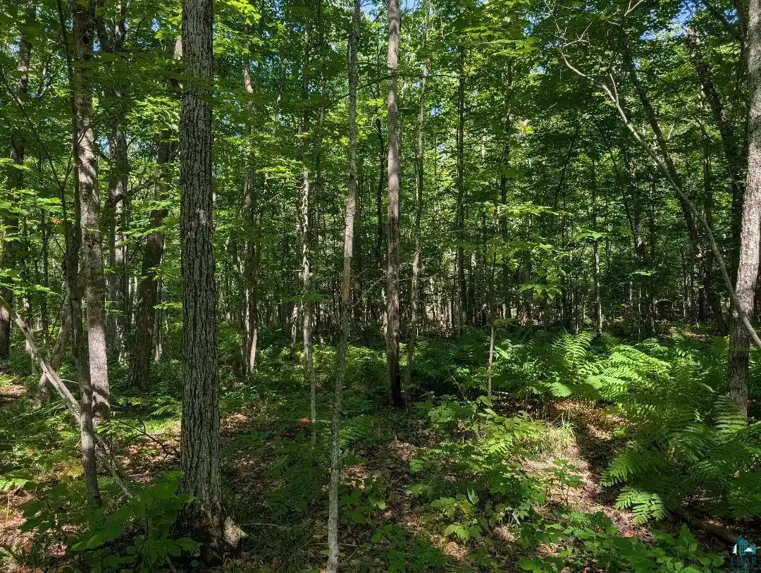 Photo 2 of Land for sale at Xxx Cherryville Rd, Ashland, WI 54806 | MLS# 6127694 | Listing updated on 2026-08-31