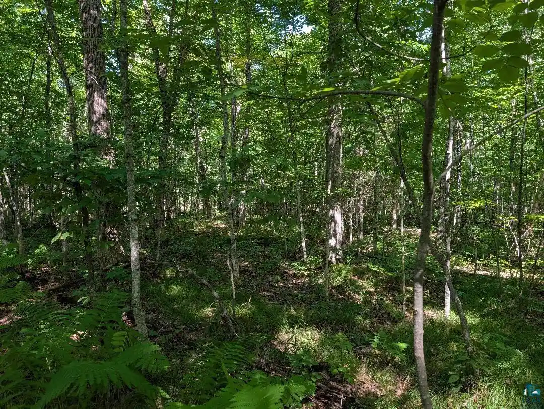 Photo 3 of Land for sale at Xxx Cherryville Rd, Ashland, WI 54806 | MLS# 6127694 | Listing updated on 2026-08-31