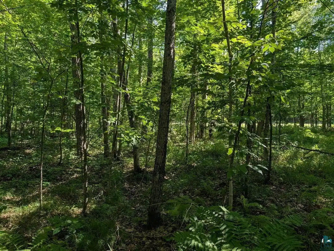 Photo 3 of Land for sale at Xxx Cherryville Rd, Ashland, WI 54806 | MLS# 6127694 | Listing updated on 2026-08-31