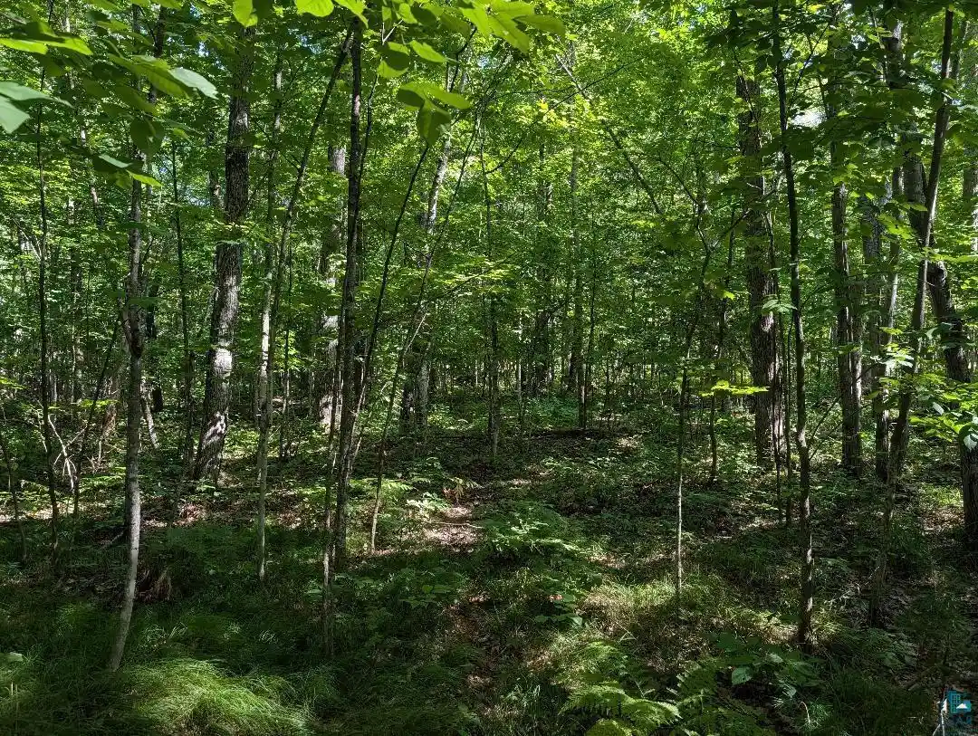Photo 4 of Land for sale at Xxx Cherryville Rd, Ashland, WI 54806 | MLS# 6127694 | Listing updated on 2026-08-31