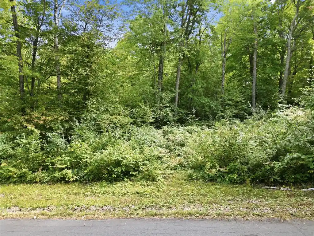 Photo 1 of Land for sale at 0 Old 27 Rd, Hayward, WI 54843 | MLS# 1604715 | Listing updated on 2026-08-31